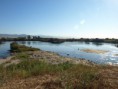 /album/photo-gallery-photogallery/view-from-the-2nd-hide-at-rio-guadalhorce-in-malaga-jpg/